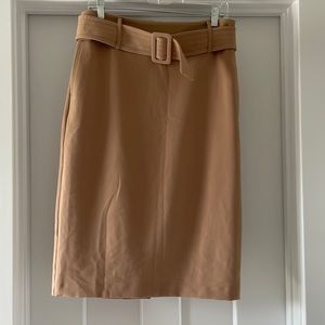 Eva Mendes never worn skirt